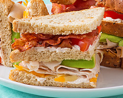 sandwich recipes